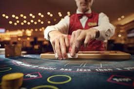 7bet bonus